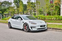 tesla-model-3-electric-performance-car-choice-singapore